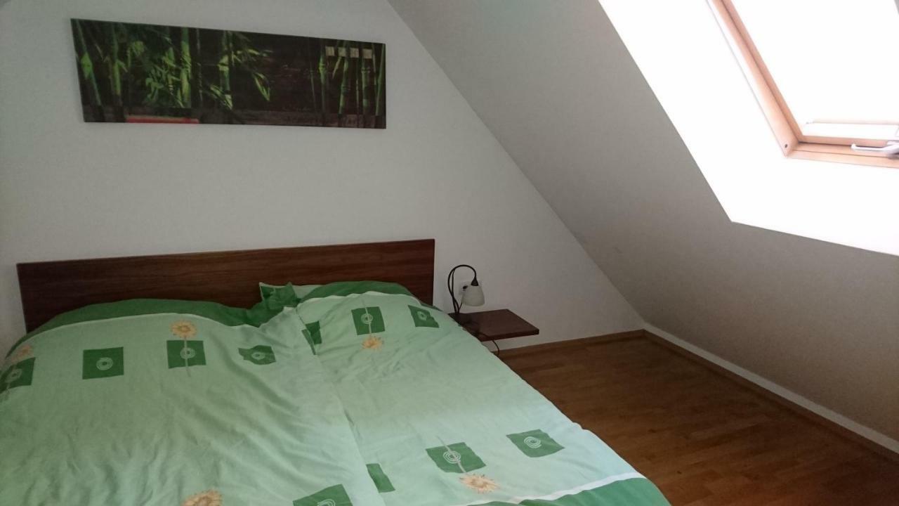 Apartma Geoteh Terme Catez 6032 Villa Krsko Exterior photo